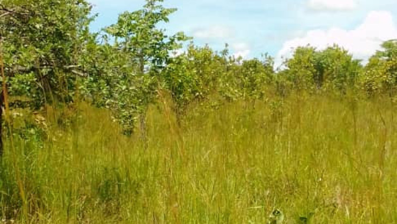 1-acre-land-for-sale-in-new-kasama-big-0