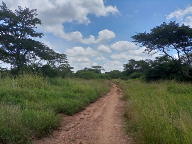 prime-location-in-new-kasama-big-2