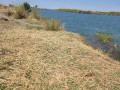 20000-hectares-of-kafue-riverfront-for-sale-small-5