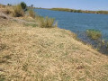 20000-hectares-of-kafue-riverfront-for-sale-small-0