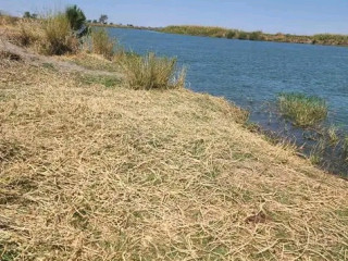 20,000 Hectares of Kafue Riverfront for Sale