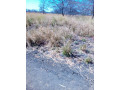 20000-hectares-of-kafue-riverfront-for-sale-small-3