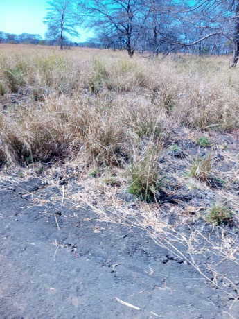20000-hectares-of-kafue-riverfront-for-sale-big-3