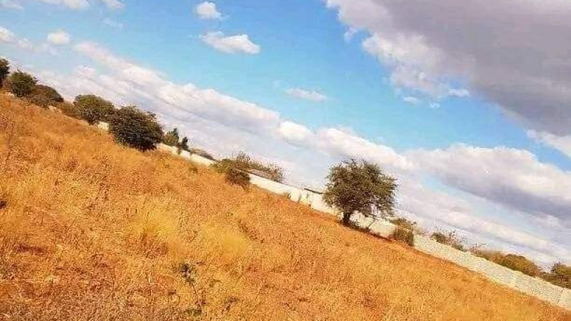 50m-by-100m-plot-for-sale-in-ibex-main-big-5