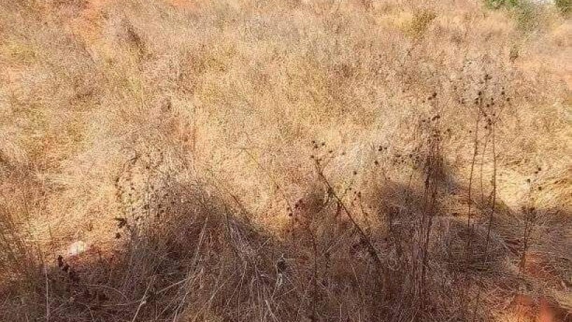 50m-by-100m-plot-for-sale-in-ibex-main-big-3