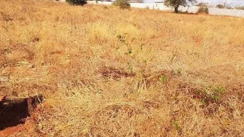 50m-by-100m-plot-for-sale-in-ibex-main-big-1