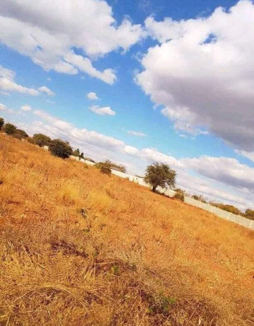 50m-by-100m-plot-for-sale-in-ibex-main-big-5