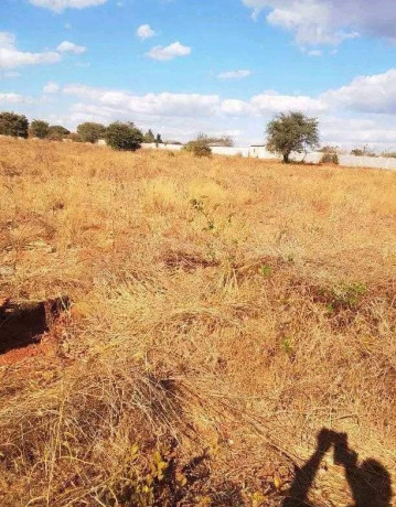 50m-by-100m-plot-for-sale-in-ibex-main-big-1