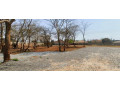 plot-for-sale-in-ibex-meanwood-small-1