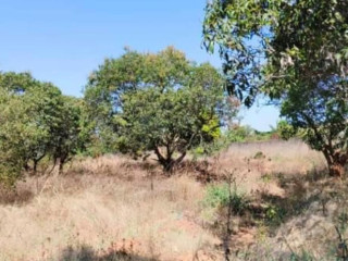 5-acre-plot-for-sale-in-ibex-meanwood