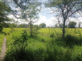 10-acre-plot-for-sale-in-mikango-barracks-small-1