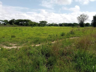 10 Acre Plot For Sale In Mikango Barracks