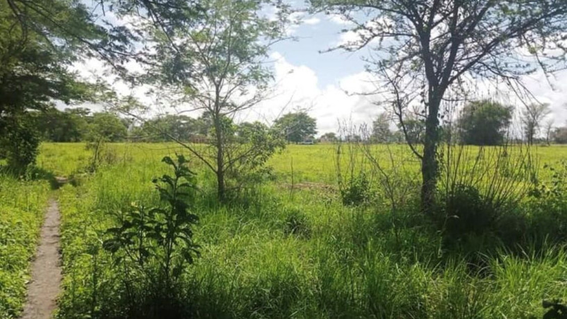 10-acre-plot-for-sale-in-mikango-barracks-big-1