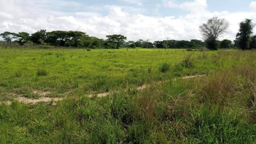 10-acre-plot-for-sale-in-mikango-barracks-big-0