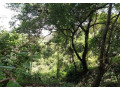 10-acre-plot-for-sale-in-mikango-barracks-small-2