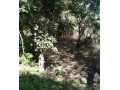 10-acre-plot-for-sale-in-mikango-barracks-small-3