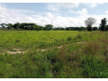 10-acre-plot-for-sale-in-mikango-barracks-small-0