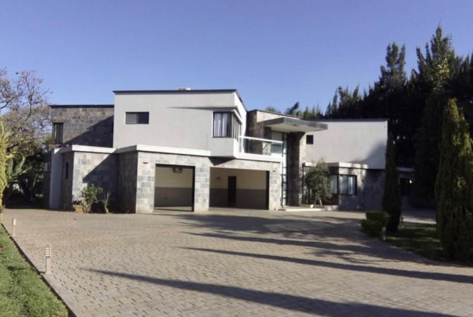 5-bedroom-house-for-rent-in-eureka-park-big-8