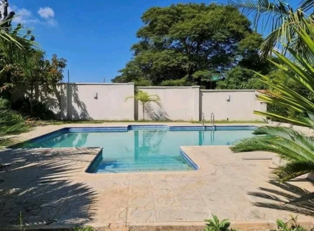 3-bedroom-house-for-rent-in-roma-park-big-5