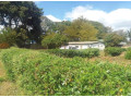 spacious-4-bedroom-house-in-rhodes-park-for-sale-small-4