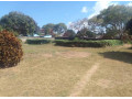 spacious-4-bedroom-house-in-rhodes-park-for-sale-small-7