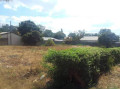 spacious-4-bedroom-house-in-rhodes-park-for-sale-small-0