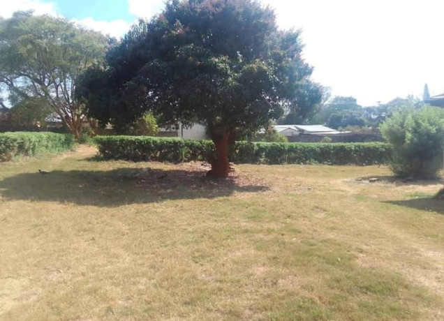spacious-4-bedroom-house-in-rhodes-park-for-sale-big-5