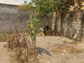 plot-for-sale-in-kamwala-south-small-3