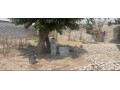 plot-for-sale-in-kamwala-south-small-5