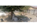 plot-for-sale-in-kamwala-south-small-4
