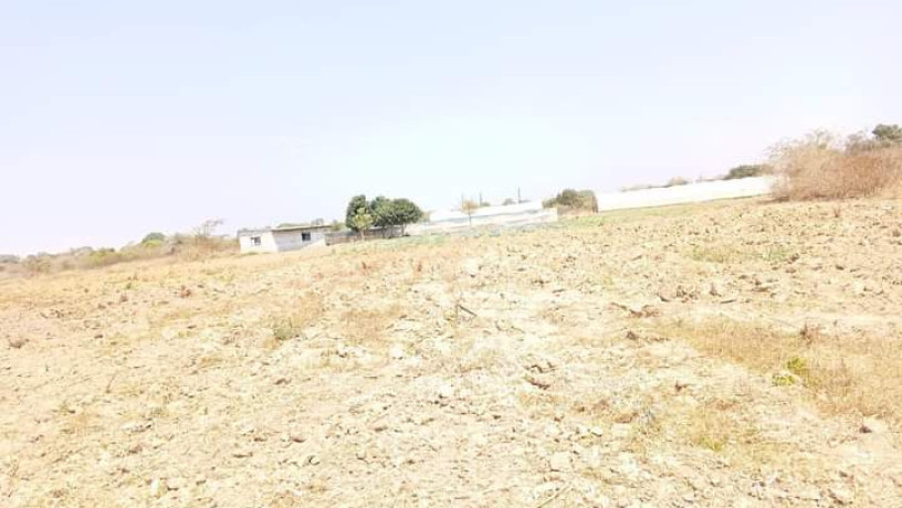 30m-by-20m-and-40m-by-30m-plots-for-sale-in-silverest-big-2