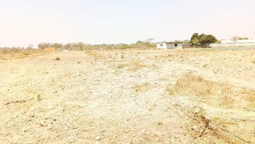 30m-by-20m-and-40m-by-30m-plots-for-sale-in-silverest-big-6