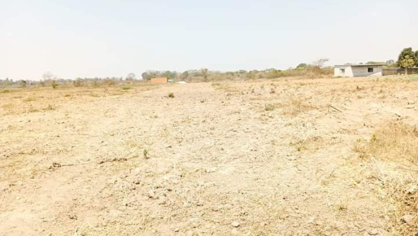 30m-by-20m-and-40m-by-30m-plots-for-sale-in-silverest-big-1