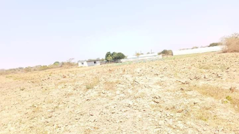 30m-by-20m-and-40m-by-30m-plots-for-sale-in-silverest-big-5