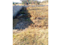 plot-for-sale-in-foxdale-small-3