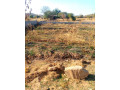 plot-for-sale-in-foxdale-small-1