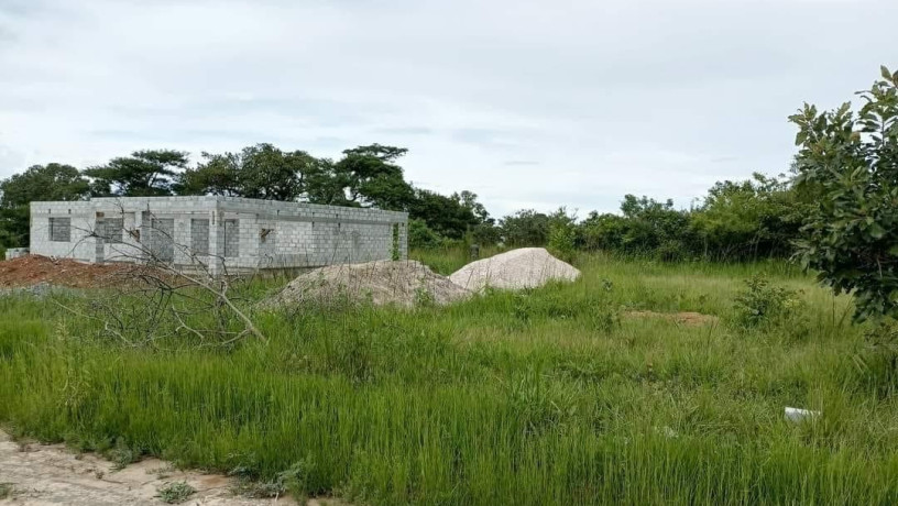 plots-for-sale-in-silverest-big-4