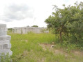 3-plots-for-sale-in-silverest-small-0