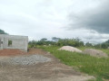 3-plots-for-sale-in-silverest-small-7