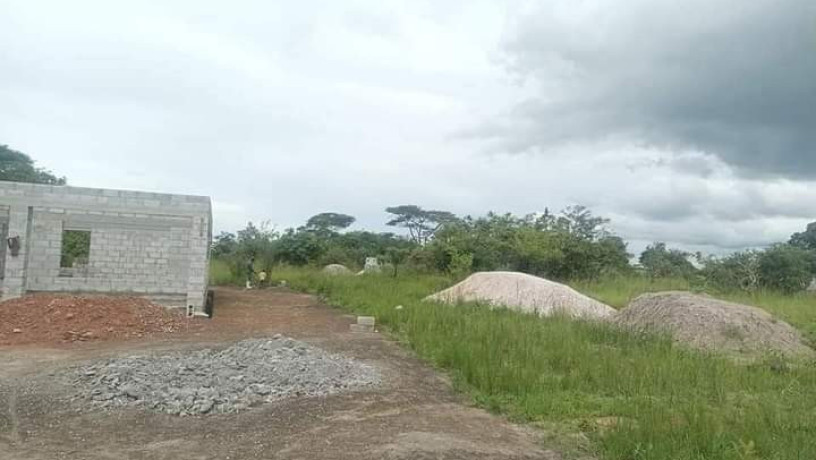 3-plots-for-sale-in-silverest-big-8