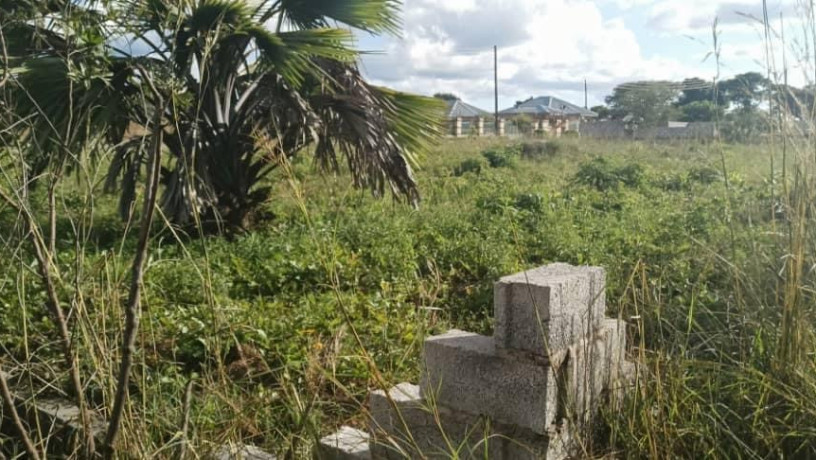 plot-for-sale-in-silverest-big-0