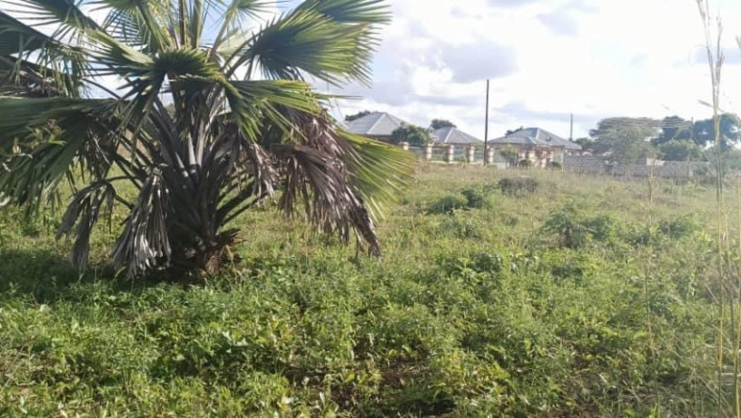 plot-for-sale-in-silverest-big-1