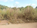 40m-by-30m-plot-for-sale-in-chalala-small-3