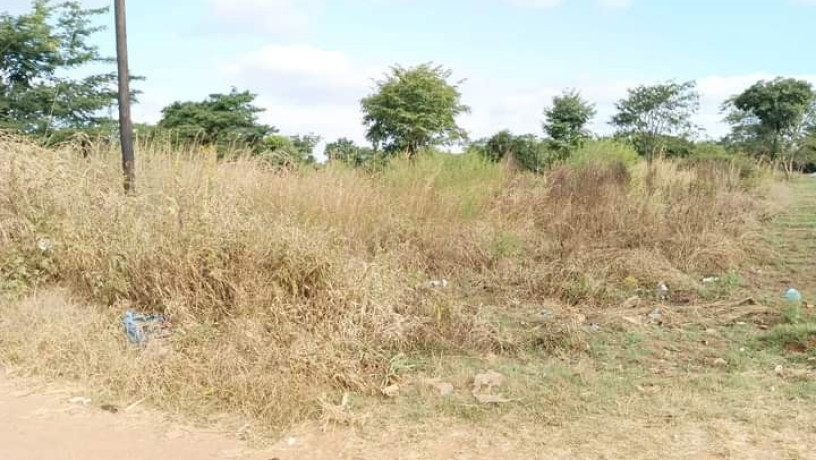 40m-by-30m-plot-for-sale-in-chalala-big-4