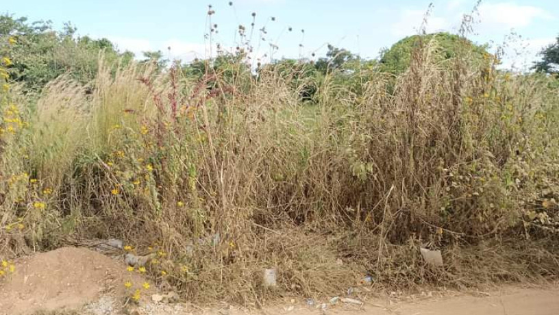 40m-by-30m-plot-for-sale-in-chalala-big-3