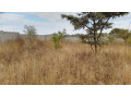 plot-for-sale-in-state-lodge-small-1