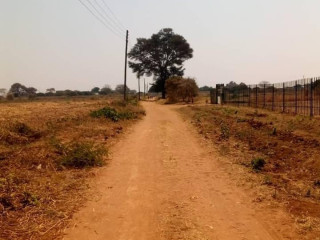 Plot For Sale In Makeni