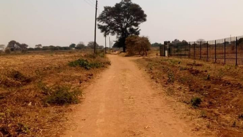 plot-for-sale-in-makeni-big-0