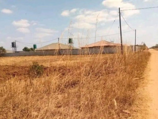 Plot For Sale In Chalala