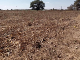 1.5 Acre Plot For Sale in Ngwerere